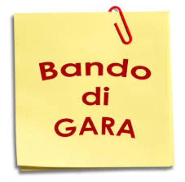 AVVISO PUBBLICO FINALIZZATO ALL’ESPLETAMENTO DI PROCEDURA NEGOZIATA PER AFFIDAMENTO SERVIZIO DI VIGILANZA ALUNNI A.S. 2023 /2025